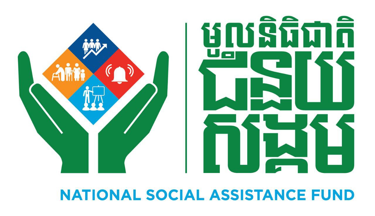 NSAF LOGO